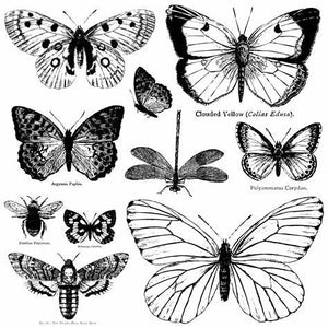Butterflies IOD Decor Stamp - Iron Orchid Designs