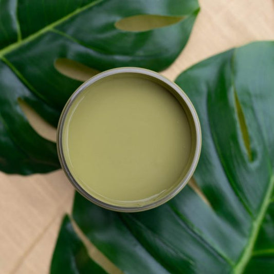 Everglades - Dixie Belle Silk All-In-One Mineral Paint