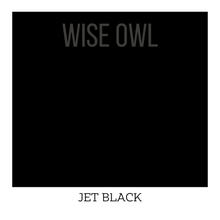 Load image into Gallery viewer, Jet Black Furniture Paint - Wise Owl One Hour Enamel Paint