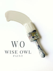 Natural Light - Wise Owl One Hour Enamel Paint