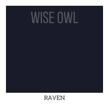 Load image into Gallery viewer, Raven - Wise Owl One Hour Enamel Paint