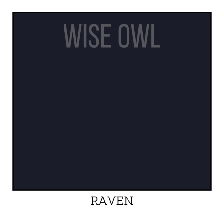 Raven - Wise Owl One Hour Enamel Paint