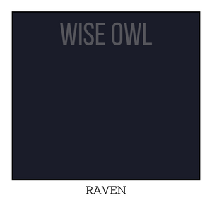 Raven - Wise Owl One Hour Enamel Paint