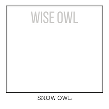 Load image into Gallery viewer, Bright White Furniture Paint - Snow Owl - Wise Owl One Hour Enamel Paint