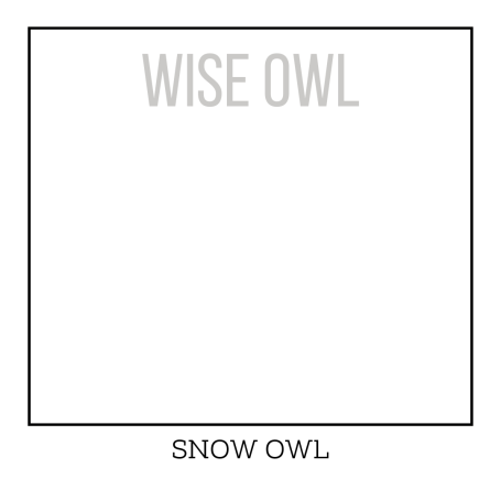 Bright White Furniture Paint - Snow Owl - Wise Owl One Hour Enamel Paint
