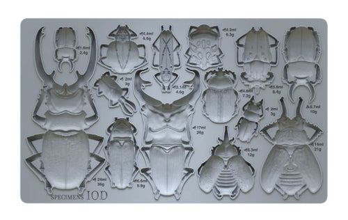Specimens Mould by IOD - Iron Orchid Designs 