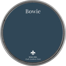 Load image into Gallery viewer, Bowie - Wise Owl Chalk Synthesis Paint