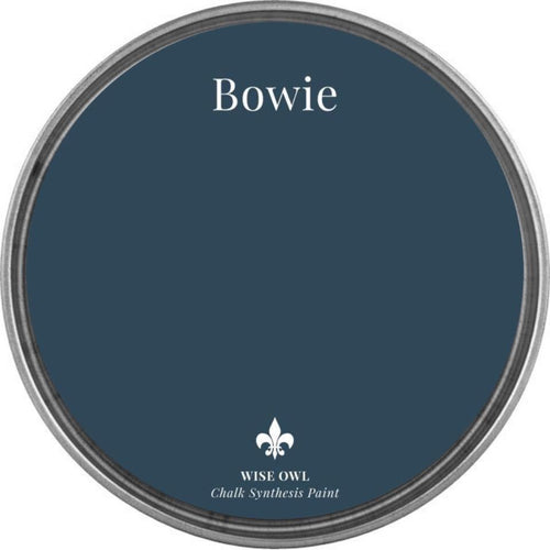 Bowie - Wise Owl Chalk Synthesis Paint