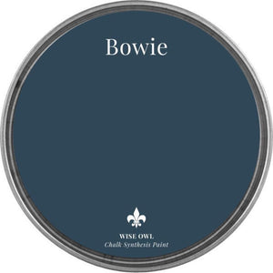 Bowie - Wise Owl Chalk Synthesis Paint