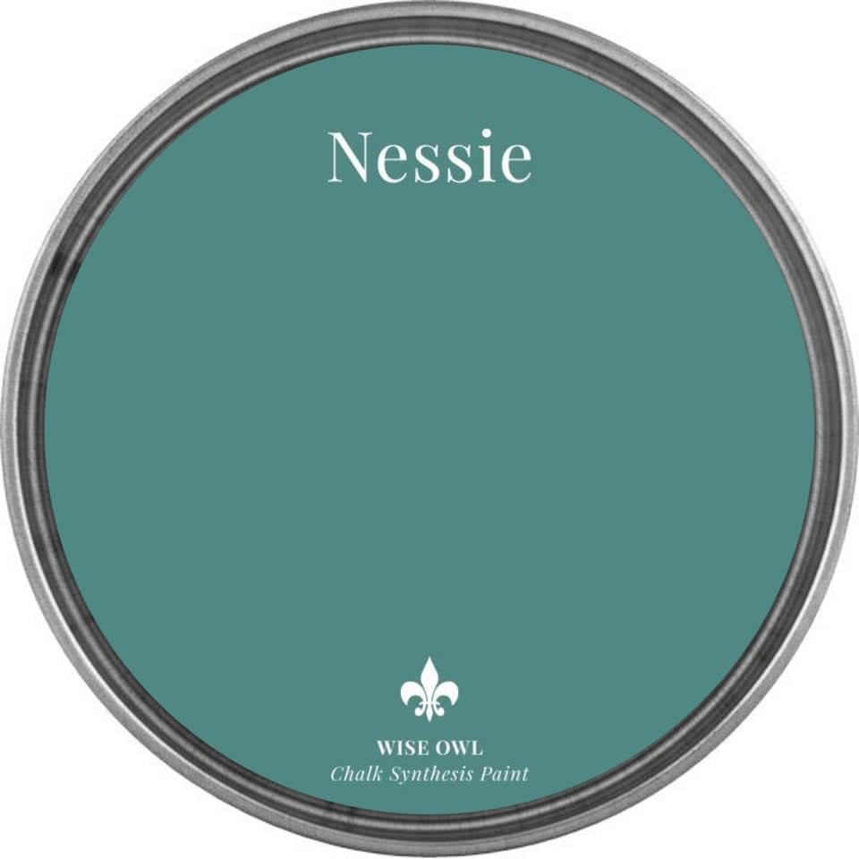 Nessie | Turquoise | Wise Owl Chalk Synthesis Paint