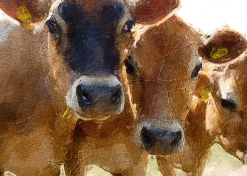 Jersey Cows - MINT by Michelle Decoupage Paper for Furniture
