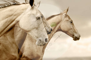 SEPIA HORSES Decoupage Paper | MINT By Michelle | Decoupage Papers for Furniture