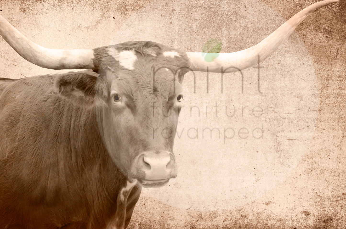 TEXAS LONGHORN Decoupage Paper | MINT by Michelle | Decoupage Paper for Furniture