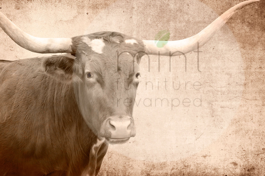 TEXAS LONGHORN Decoupage Paper | MINT by Michelle | Decoupage Paper for Furniture