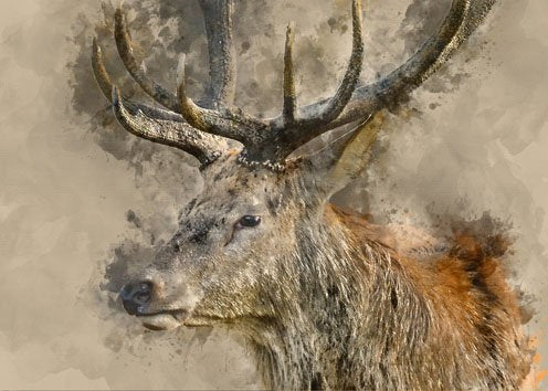 YES DEER  Decoupage Paper | MINT By Michelle | Decoupage Papers for Furniture