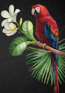 Parrot - MINT by Michelle Decoupage Paper for Furniture