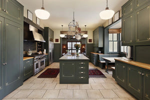 Pressed Fern Fusion Mineral Paint