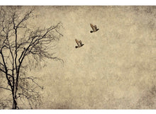 Load image into Gallery viewer, FLYING BIRDS Decoupage Paper | MINT by Michelle | Decoupage Paper for Furniture