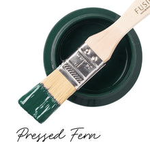 Load image into Gallery viewer, Pressed Fern Fusion Mineral Paint