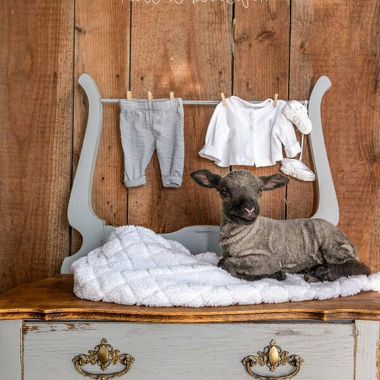 Little Lamb, Warm Grey - Fusion Mineral Paint