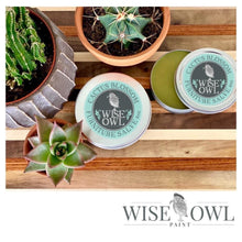 Load image into Gallery viewer, Cactus Blossom - Wise Owl Furniture Salve