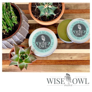 Cactus Blossom - Wise Owl Furniture Salve