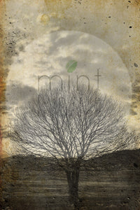 SEPIA TREE Decoupage Papers | MINT by Michelle | Decoupage Paper for Furniture