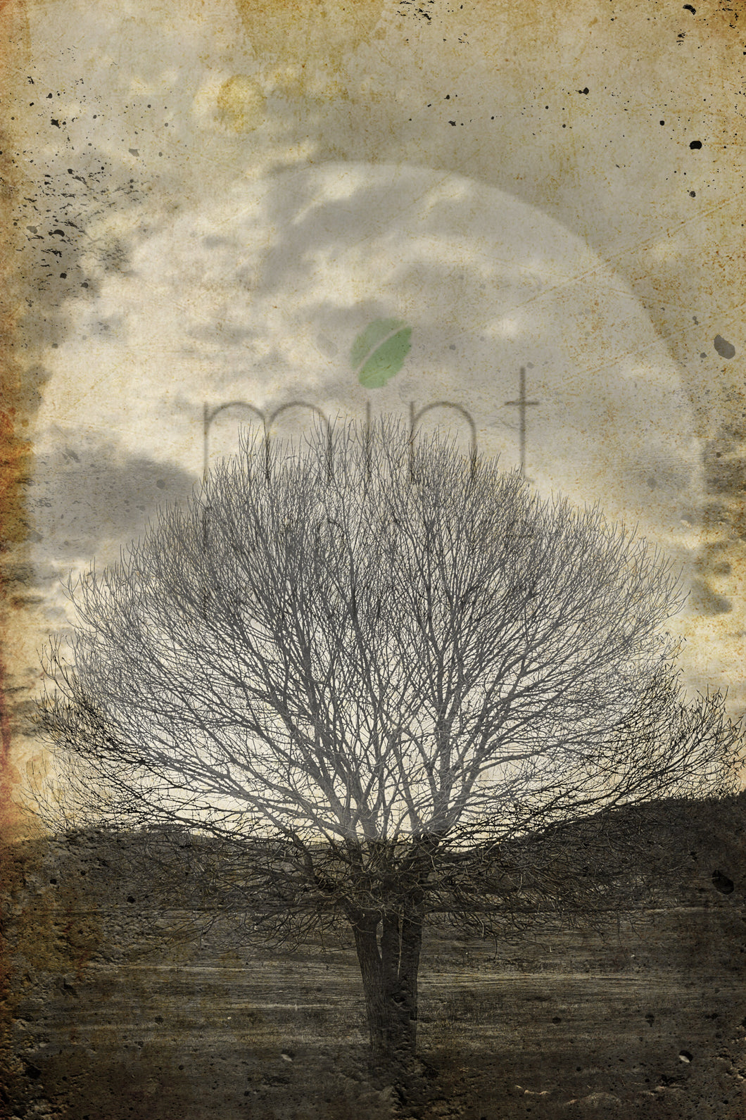 SEPIA TREE Decoupage Papers | MINT by Michelle | Decoupage Paper for Furniture